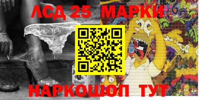 mdpv Кимры