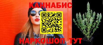 каннабис Кингисепп