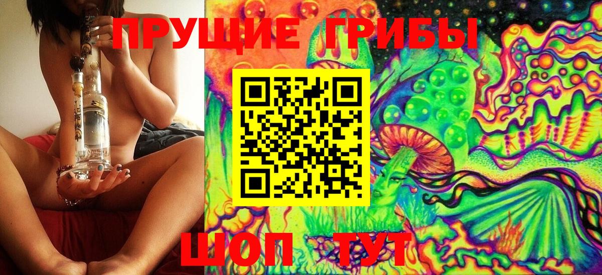 Галлюциногенные грибы Cubensis Кувандык