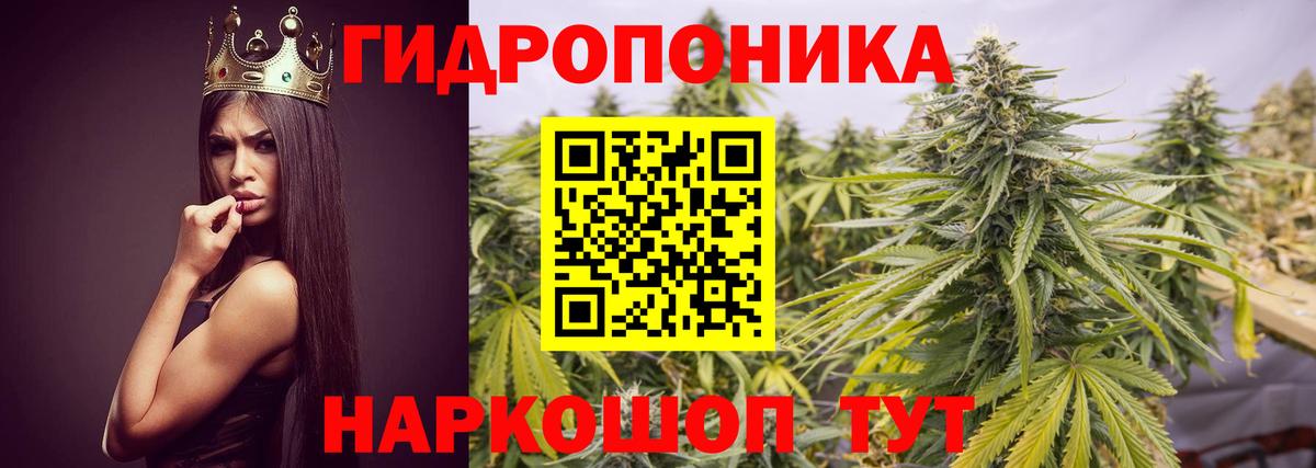 Канабис Bruce Banner Кувандык
